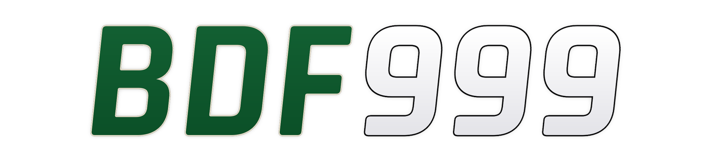 bdf999 লোগো